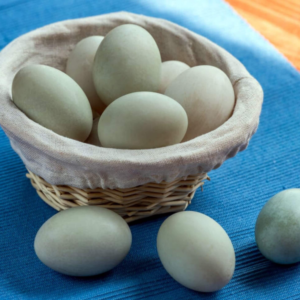Ovos de pata (dúzia)