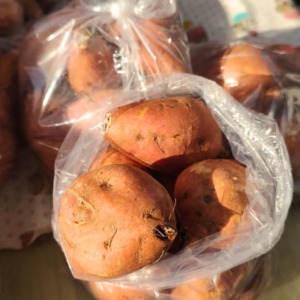 Batata Doce Cenoura (500g)