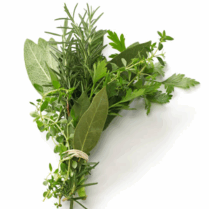 Buquê de Ervas Medicinais