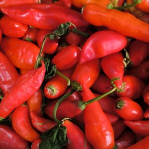 Mix de Pimentas (300 g)