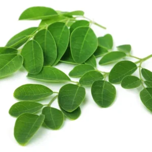 Folhas de moringa (maço)